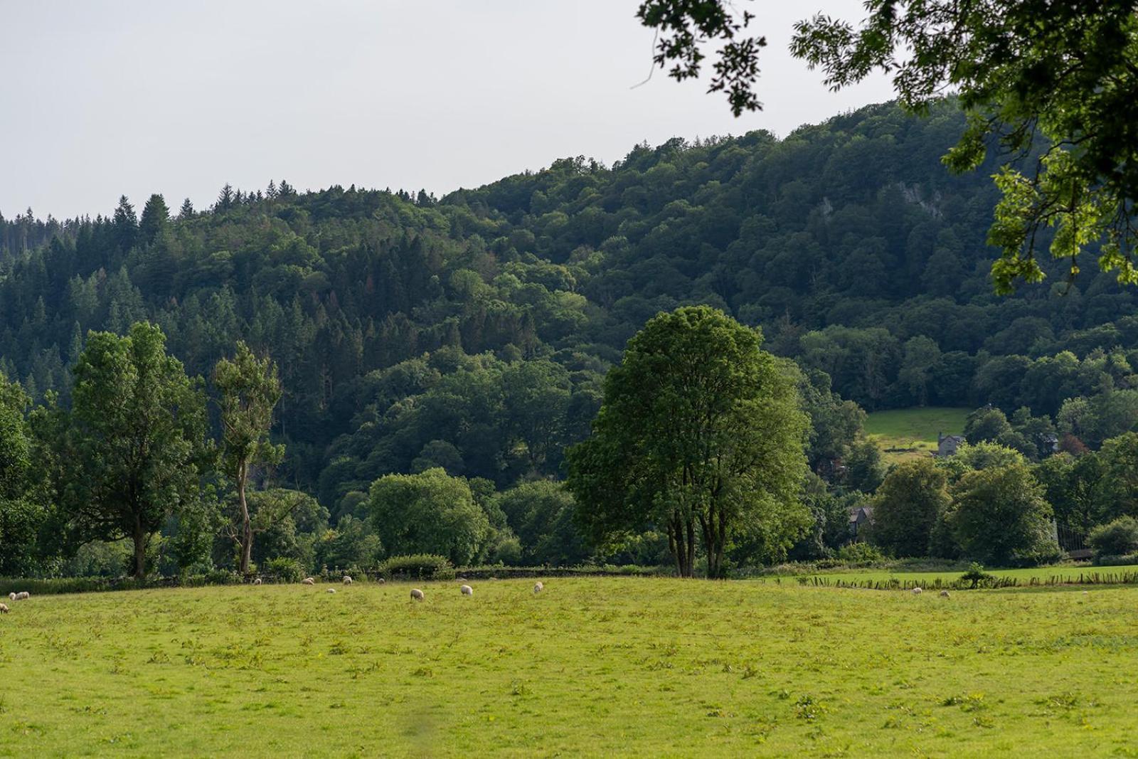 Glanrhyd Cottage Betws-y-Coed Zewnętrze zdjęcie